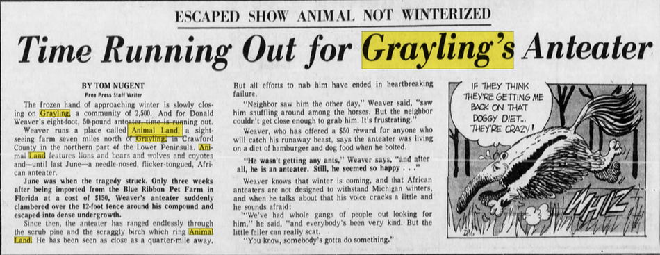 Animal Land - Oct 3 1970 Article On Anteater